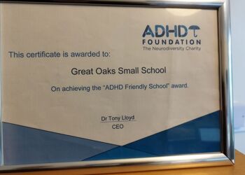 ADHD Friendly School Award