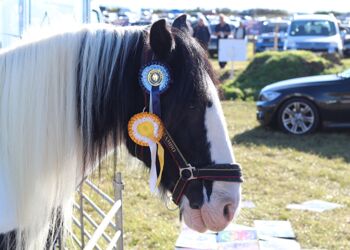 80th Anniversary East Kent Ploughing Match