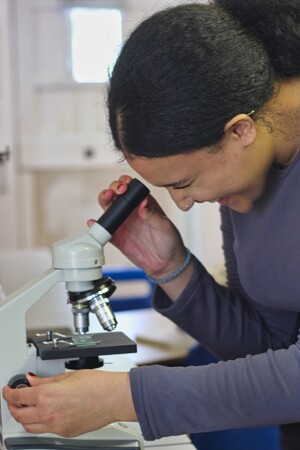 Great Oaks Small School Student Using a Microscope