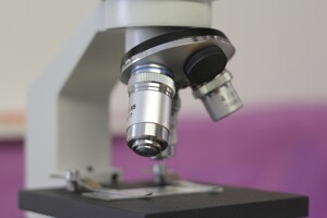 Great Oaks Small School Science