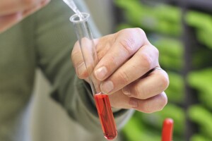Great Oaks Small School Science Experiment