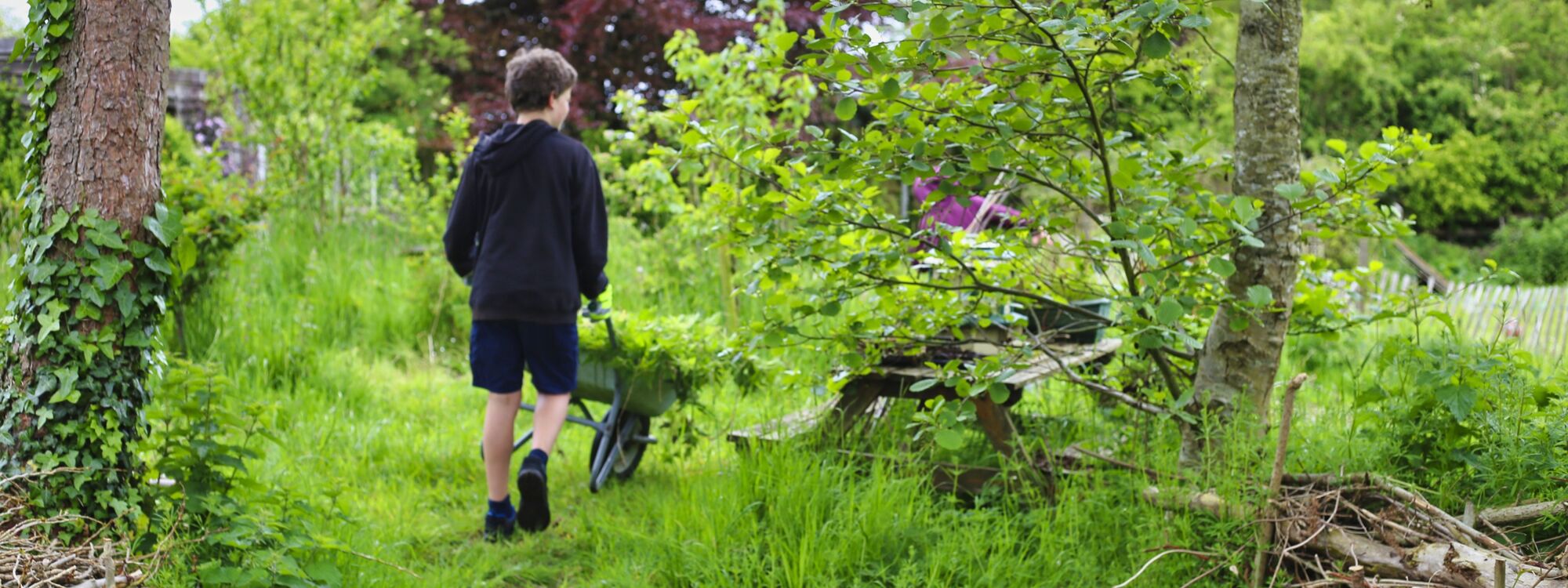 Wheelbarrow forest school